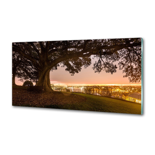 Platte für Küchenrückwand Alter Baum