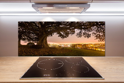 Platte für Küchenrückwand Alter Baum