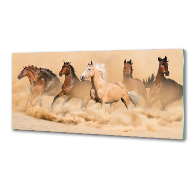 Glasrückwand für die küche Wüstenpferde