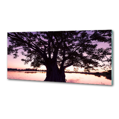 Glasrückwand für die küche Baum und See