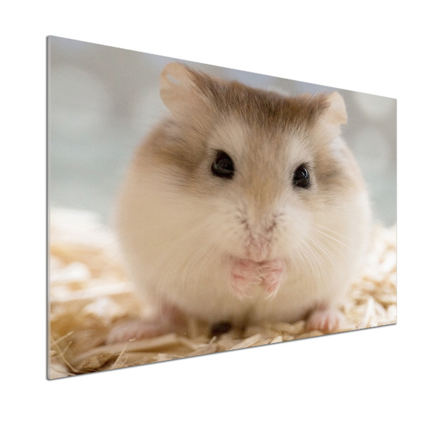 Platte für Küchenrückwand Hamster
