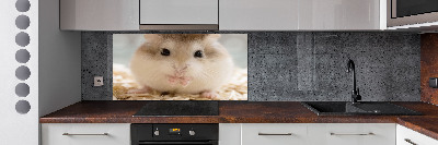 Platte für Küchenrückwand Hamster
