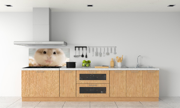 Platte für Küchenrückwand Hamster