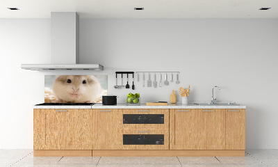 Platte für Küchenrückwand Hamster