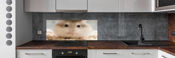 Platte für Küchenrückwand Hamster