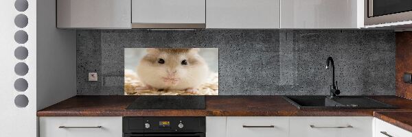Platte für Küchenrückwand Hamster