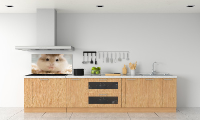Platte für Küchenrückwand Hamster