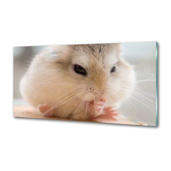 Küchen wandpaneel Hamster