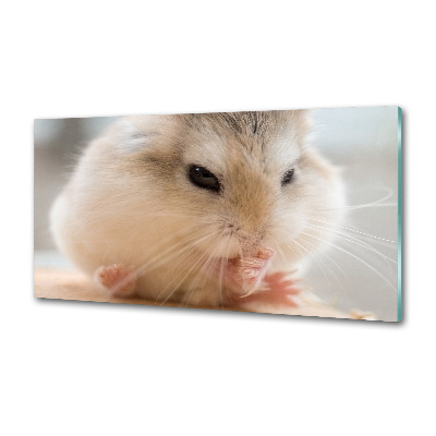 Küchen wandpaneel Hamster