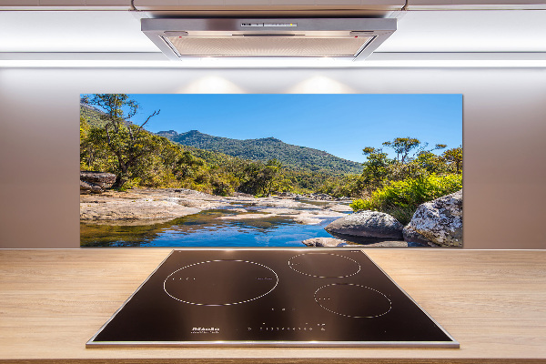 Küchen wandpaneel Fluss im Wald