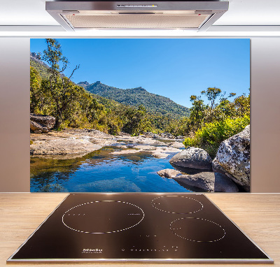 Küchen wandpaneel Fluss im Wald