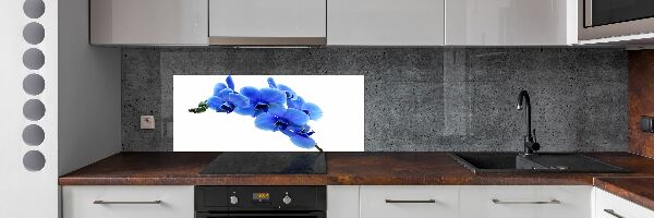 Platte für Küchenrückwand Blaue Orchidee