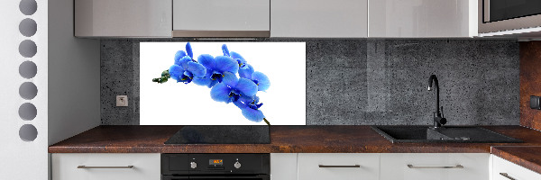 Platte für Küchenrückwand Blaue Orchidee