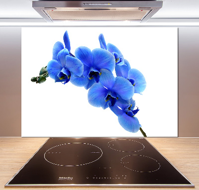 Platte für Küchenrückwand Blaue Orchidee