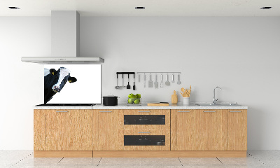 Platte für Küchenrückwand Kuh