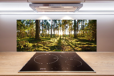 Platte für Küchenrückwand Kiefernwald