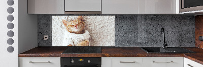Glasrückwand für die küche Kätzchen im Pullover