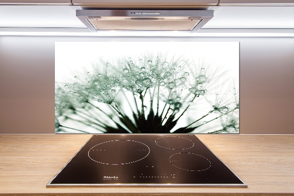 Küchen wandpaneel Löwenzahnsamen