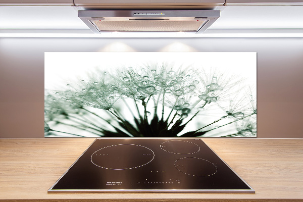 Küchen wandpaneel Löwenzahnsamen