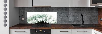 Küchen wandpaneel Löwenzahnsamen