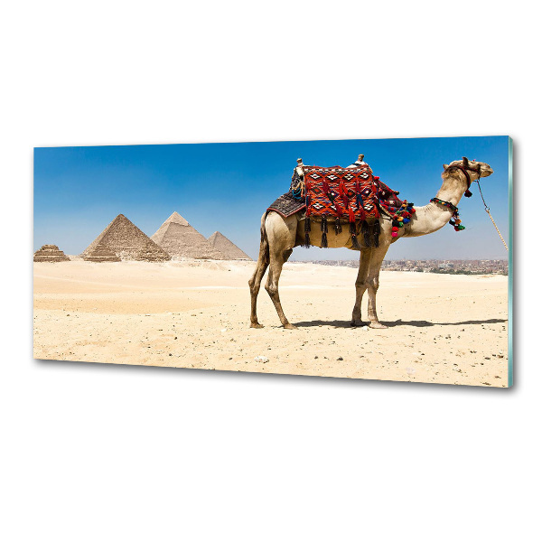 Küchen wandpaneel Kamel in Kairo