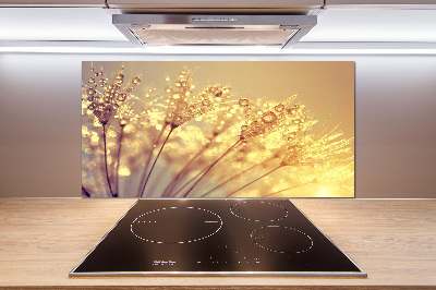 Glasrückwand für die küche Löwenzahnsamen