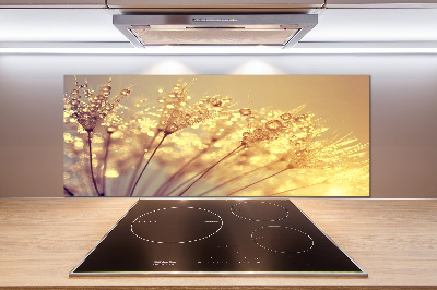 Glasrückwand für die küche Löwenzahnsamen