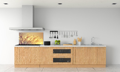 Glasrückwand für die küche Löwenzahnsamen