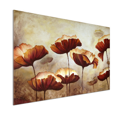 Glasrückwand für die küche Mohnblumen