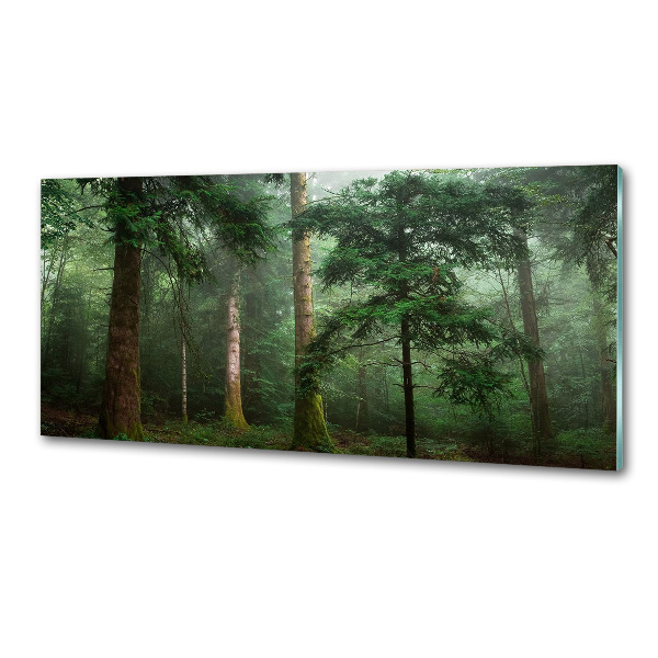 Küchen wandpaneel Nebel im Wald