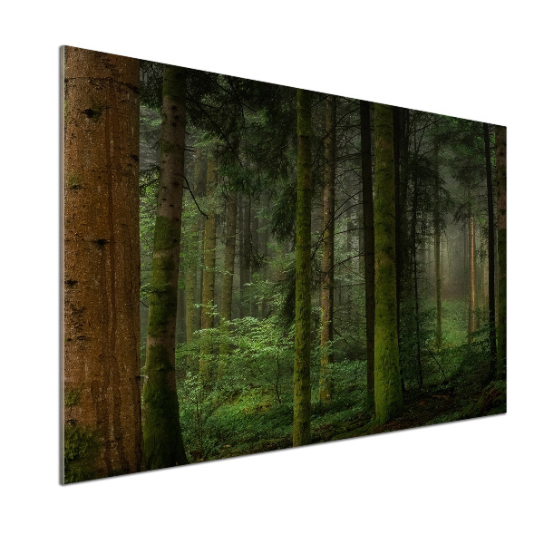 Glasrückwand für die küche Nebel im Wald