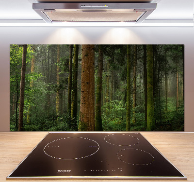 Glasrückwand für die küche Nebel im Wald