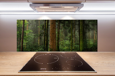 Glasrückwand für die küche Nebel im Wald