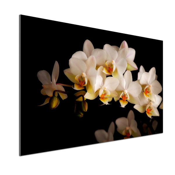 Platte für Küchenrückwand Orchidee