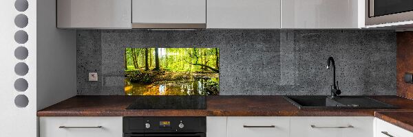 Glasrückwand für die küche Ein Teich im Wald