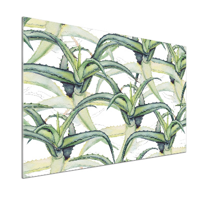 Küchen wandpaneel Aloe