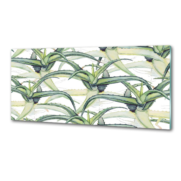 Küchen wandpaneel Aloe