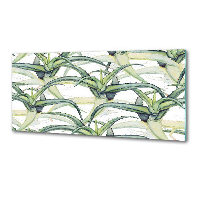 Küchen wandpaneel Aloe