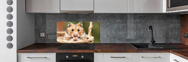 Glasrückwand für die küche Hamster im Korb