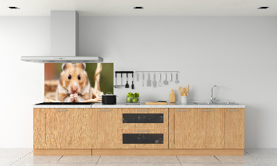 Glasrückwand für die küche Hamster im Korb