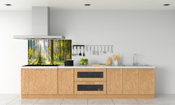 Küchen wandpaneel Wald in der Sonne