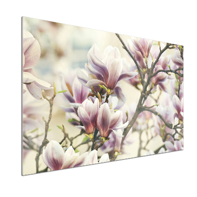 Glasrückwand für die küche Magnolie