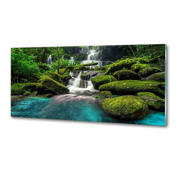 Platte für Küchenrückwand Wasserfall im Dschungel