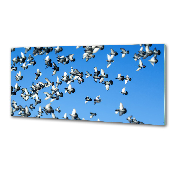 Küchen wandpaneel Ein Schwarm Tauben