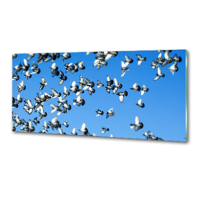 Küchen wandpaneel Ein Schwarm Tauben