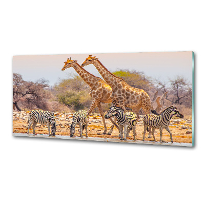 Glasrückwand für die küche Giraffen und Zebras