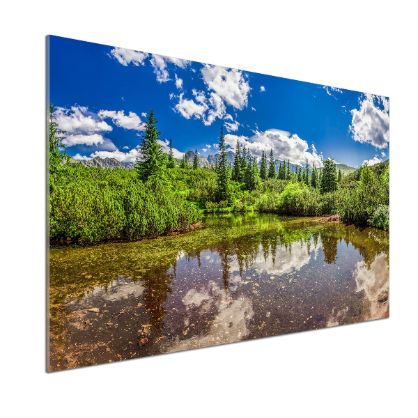 Glasrückwand für die küche See im Wald