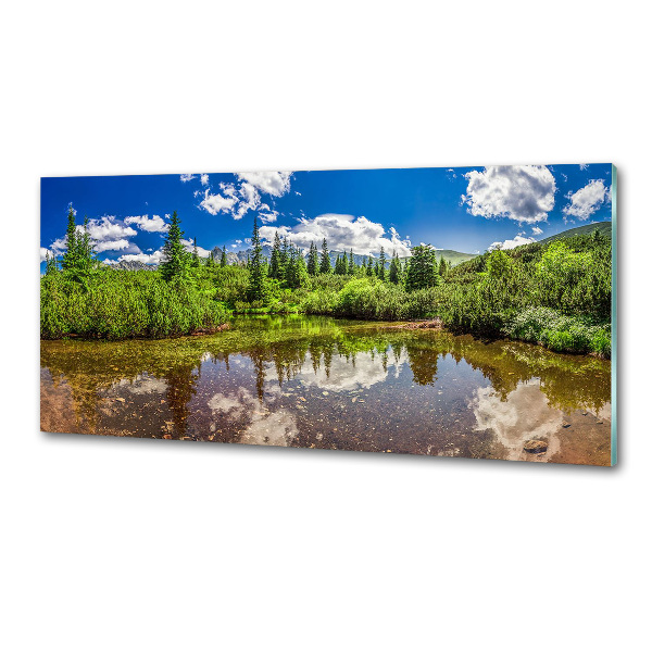 Glasrückwand für die küche See im Wald