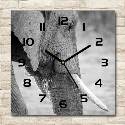 Wanduhr modern quadratisch Elefant