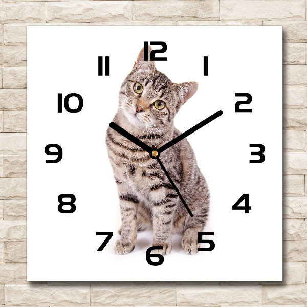 Wanduhr quadratisch Katze